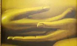 करुणा की मूर्ति-महादेवी