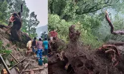 सिक्किम में भारी बारिश का कहर, पेड़ गिरने से महिला की मौत