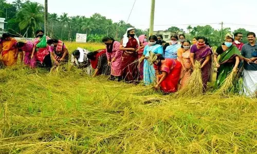 आत्मनिर्भर बन रही हैं केरल की महिलाएं