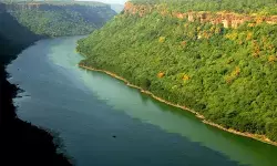 डाकुओं से नहीं, वन्यजीवों और सुंदरता से भरा है चंबल के बीहड़, नीली और साफ नदी देती है सुकून डाकुओं से नहीं, वन्यजीवों और सुंदरता से भरा है चंबल के बीहड़, नीली और साफ नदी देती है सुकून