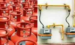 PNG होने पर भी उसकी सेवा नहीं लेने वालों की LPG सप्लाई बंद करेगी सरकार, 3 महीने की समयसीमा तय PNG होने पर भी उसकी सेवा नहीं लेने वालों की LPG सप्लाई बंद करेगी सरकार, 3 महीने की समयसीमा तय