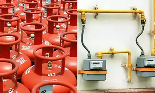 PNG होने पर भी उसकी सेवा नहीं लेने वालों की LPG सप्लाई बंद करेगी सरकार, 3 महीने की समयसीमा तय