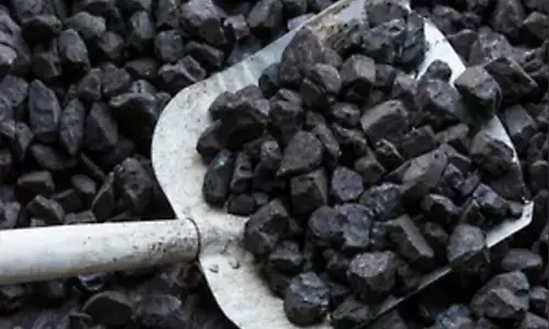 दुर्लभ पृथ्वी खनिज स्थायी चुंबक की घरेलू उत्पादन क्षमता वर्ष 2030 तक 5,000 टन तक पहुंचने की उम्मीद : केंद्र दुर्लभ पृथ्वी खनिज स्थायी चुंबक की घरेलू उत्पादन क्षमता वर्ष 2030 तक 5,000 टन तक पहुंचने की उम्मीद : केंद्र