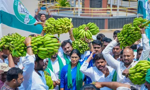 आंध्र प्रदेश : किसानों की दुर्दशा पर प्रदेश कांग्रेस अध्यक्ष का अनोखा विरोध-प्रदर्शन, फिर कलेक्टर को सौंपा ज्ञापन