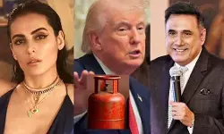 ईरानियों को फांसी दी, तब कहां थे, बोमन ईरानी पर बरसीं मंदाना करीमी, सोशल मीडिया पर छिड़ी बहस ईरानियों को फांसी दी, तब कहां थे, बोमन ईरानी पर बरसीं मंदाना करीमी, सोशल मीडिया पर छिड़ी बहस