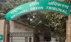 एनजीटी ने कहा, कृत्रिम तटबंध यमुना के बाढ़ क्षेत्र की सीमा तय नहीं कर सकते एनजीटी ने कहा, कृत्रिम तटबंध यमुना के बाढ़ क्षेत्र की सीमा तय नहीं कर सकते