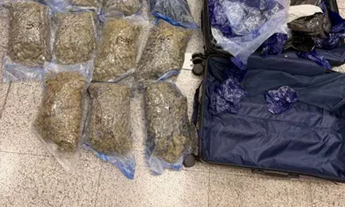 हैदराबाद एयरपोर्ट पर डीआरआई और कस्टम्स की बड़ी कार्रवाई, 8.9 करोड़ की हाइड्रोपोनिक वीड जब्त