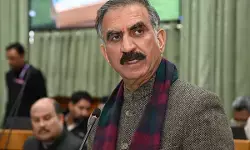शिमला में पारंपरिक पैदल चलने की संस्कृति बचाने की पहल, विधानसभा से बिल पास, जुर्माने का प्रावधान शिमला में पारंपरिक पैदल चलने की संस्कृति बचाने की पहल, विधानसभा से बिल पास, जुर्माने का प्रावधान