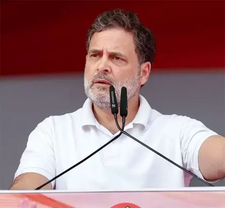 केरल में राहुल गांधी करेंगे 3 जिलों में 4 बड़ी रैलियां केरल में राहुल गांधी करेंगे 3 जिलों में 4 बड़ी रैलियां