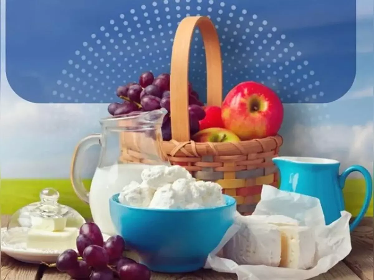 सुबह के नाश्ते में क्यों जरूरी है प्रोटीन, जानें प्लेट में क्या करें शामिल? सुबह के नाश्ते में क्यों जरूरी है प्रोटीन, जानें प्लेट में क्या करें शामिल?