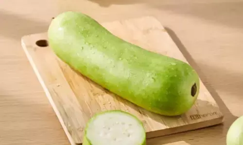 कम कैलोरी से लेकर दिल और पाचन तक, जानिए कैसे शरीर को अंदर से मजबूत बनाती है लौकी