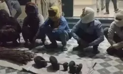 मध्य प्रदेश: बाघ के शिकार के आरोप में 5 लोग गिरफ्तार मध्य प्रदेश: बाघ के शिकार के आरोप में 5 लोग गिरफ्तार