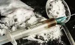 जम्मू-कश्मीर के कुलगाम में पुलिस ने मादक पदार्थों के खिलाफ सफलतापूर्वक अभियान चलाया जम्मू-कश्मीर के कुलगाम में पुलिस ने मादक पदार्थों के खिलाफ सफलतापूर्वक अभियान चलाया
