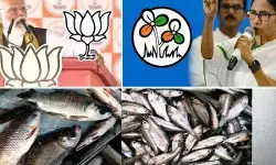 बंगाल का आखिरी पड़ाव : मछली की कहानी, लापता वोटर और दो राष्ट्रीय नेता बंगाल का आखिरी पड़ाव : मछली की कहानी, लापता वोटर और दो राष्ट्रीय नेता