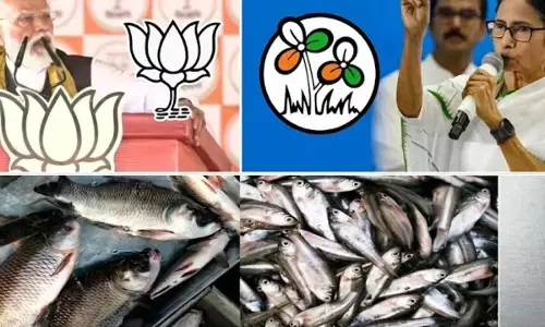 बंगाल का आखिरी पड़ाव : मछली की कहानी, लापता वोटर और दो राष्ट्रीय नेता