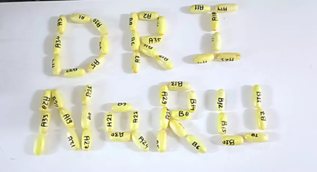 नागपुर में डीआरआई की बड़ी कार्रवाई, 853 ग्राम कोकीन जब्त, एक महिला भी गिरफ्तार नागपुर में डीआरआई की बड़ी कार्रवाई, 853 ग्राम कोकीन जब्त, एक महिला भी गिरफ्तार