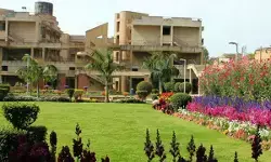 दिल्ली यूनिवर्सिटी में नौकरी का मौका: प्रोजेक्ट साइंटिस्ट समेत 11 पदों पर आवेदन शुरू, जल्दी भरें फॉर्म