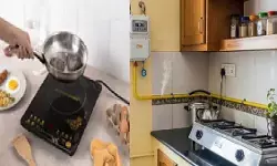 केंद्र सरकार ने लोगों से की अपील, खाना पकाने के लिए पीएनजी, इंडक्शन कुकर का इस्तेमाल बढ़ाएं