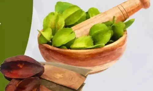 ब्लड प्रेशर और कोलेस्ट्रॉल नियंत्रित करने में मददगार अर्जुन की छाल ब्लड प्रेशर और कोलेस्ट्रॉल नियंत्रित करने में मददगार अर्जुन की छाल