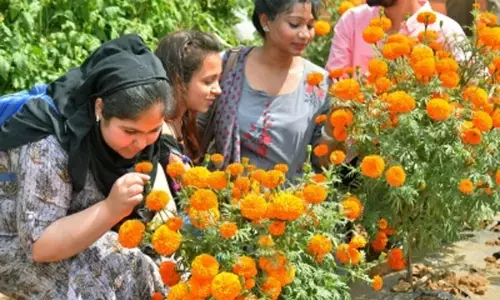 सूंघने की क्षमता में गिरावट भी अल्जाइमर्स का शुरुआती संकेत सूंघने की क्षमता में गिरावट भी अल्जाइमर्स का शुरुआती संकेत