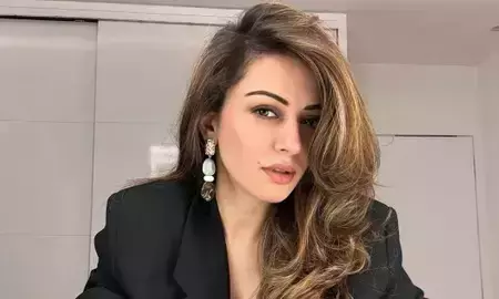 अभिनेत्री हंसिका मोटवानी ने याद किए पुराने दिन, इन दो शोज को बताया करियर का टर्निंग पॉइंट अभिनेत्री हंसिका मोटवानी ने याद किए पुराने दिन, इन दो शोज को बताया करियर का टर्निंग पॉइंट