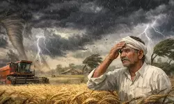 तेज आंधी और बारिश से किसानों की चिंता बढ़ी, मंडियों में गेहूं की बोरियां अटकीं