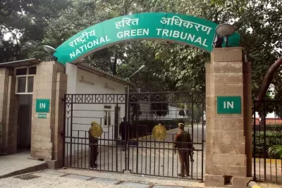 यमुना में बिना ट्रीटमेंट सीवेज पर एनजीटी सख्त, अधिकारियों को नोटिस जारी यमुना में बिना ट्रीटमेंट सीवेज पर एनजीटी सख्त, अधिकारियों को नोटिस जारी