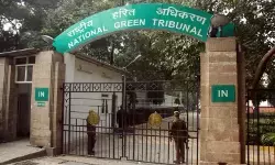 यमुना में बिना ट्रीटमेंट सीवेज पर एनजीटी सख्त, अधिकारियों को नोटिस जारी यमुना में बिना ट्रीटमेंट सीवेज पर एनजीटी सख्त, अधिकारियों को नोटिस जारी