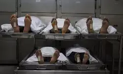 आंध्र प्रदेश: पत्नी और मां की हत्या के बाद ट्रेन के आगे कूदा शख्स, बचाने पहुंचे दो बच्चों की भी मौत आंध्र प्रदेश: पत्नी और मां की हत्या के बाद ट्रेन के आगे कूदा शख्स, बचाने पहुंचे दो बच्चों की भी मौत