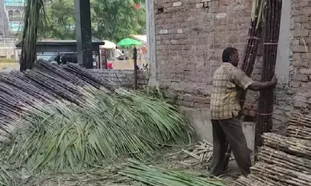 यूपी में गन्ना किसानों के लिए बड़ी खबर: अब GPS से होगा फसल का सर्वे, सीएम योगी का निर्देश