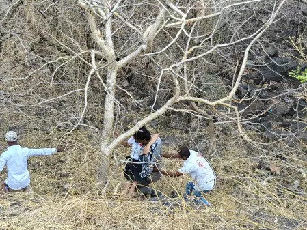 महाराष्ट्र: गोंदिया में दो ट्रेलर की टक्कर में ड्राइवर की मौत, जलगांव में एक पेड़ ने बचाई चार लोगों की जान महाराष्ट्र: गोंदिया में दो ट्रेलर की टक्कर में ड्राइवर की मौत, जलगांव में एक पेड़ ने बचाई चार लोगों की जान