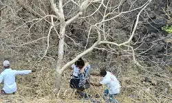 महाराष्ट्र: गोंदिया में दो ट्रेलर की टक्कर में ड्राइवर की मौत, जलगांव में एक पेड़ ने बचाई चार लोगों की जान