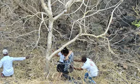 महाराष्ट्र: गोंदिया में दो ट्रेलर की टक्कर में ड्राइवर की मौत, जलगांव में एक पेड़ ने बचाई चार लोगों की जान
