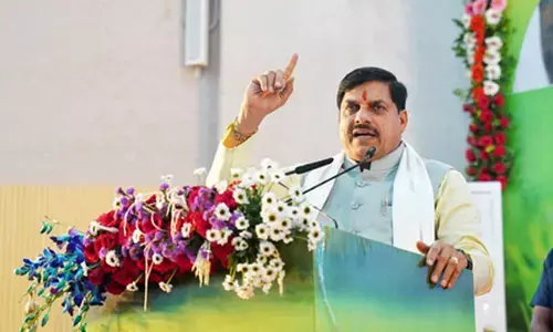 मध्य प्रदेश में अब जंगली भैंस के पुनर्स्थापन की तैयारी मध्य प्रदेश में अब जंगली भैंस के पुनर्स्थापन की तैयारी