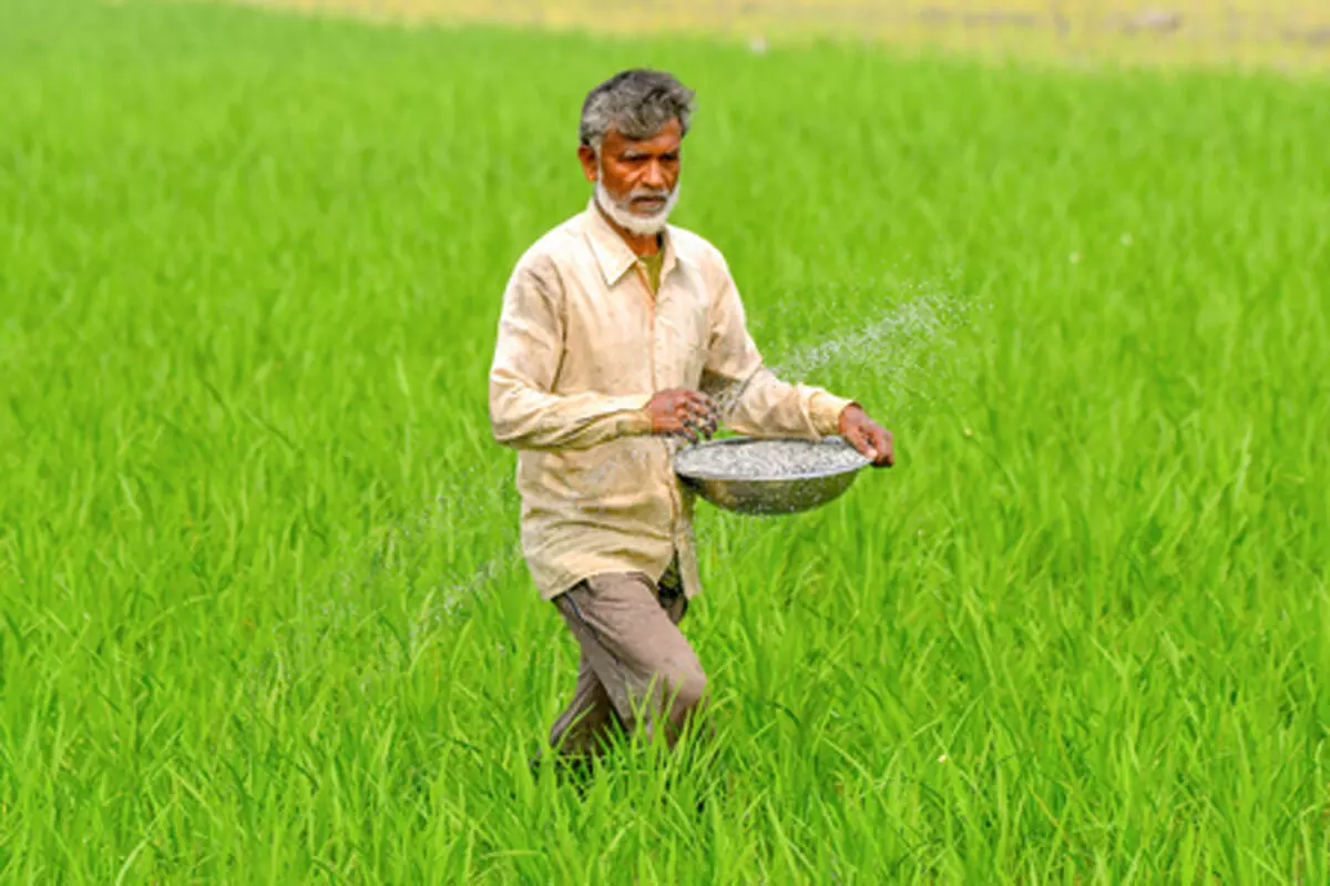 पश्चिम एशिया संकट के बीच देश में खाद का स्टॉक और सप्लाई दोनों ही मजबूत स्थिति में, उर्वरक की कीमतें स्थिर: केंद्र पश्चिम एशिया संकट के बीच देश में खाद का स्टॉक और सप्लाई दोनों ही मजबूत स्थिति में, उर्वरक की कीमतें स्थिर: केंद्र
