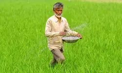 पश्चिम एशिया संकट के बीच देश में खाद का स्टॉक और सप्लाई दोनों ही मजबूत स्थिति में, उर्वरक की कीमतें स्थिर: केंद्र पश्चिम एशिया संकट के बीच देश में खाद का स्टॉक और सप्लाई दोनों ही मजबूत स्थिति में, उर्वरक की कीमतें स्थिर: केंद्र