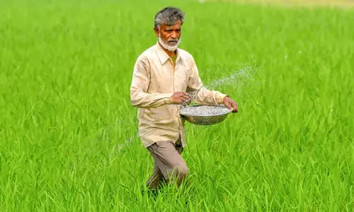 पश्चिम एशिया संकट के बीच देश में खाद का स्टॉक और सप्लाई दोनों ही मजबूत स्थिति में, उर्वरक की कीमतें स्थिर: केंद्र पश्चिम एशिया संकट के बीच देश में खाद का स्टॉक और सप्लाई दोनों ही मजबूत स्थिति में, उर्वरक की कीमतें स्थिर: केंद्र