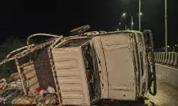 मध्य प्रदेश: धार हादसे में मरने वालों की संख्या हुई 16, इलाज के दौरान 4 और मजदूरों ने तोड़ा दम मध्य प्रदेश: धार हादसे में मरने वालों की संख्या हुई 16, इलाज के दौरान 4 और मजदूरों ने तोड़ा दम