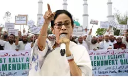 मुस्लिम उम्मीदवारों ने बचाई ममता की लाज, टीएमसी से 31 मुसलमान विधायक बने, 47 को दिया था टिकट मुस्लिम उम्मीदवारों ने बचाई ममता की लाज, टीएमसी से 31 मुसलमान विधायक बने, 47 को दिया था टिकट