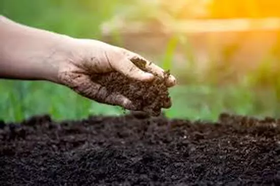 मिट्टी की सेहत सुधारने की जरूरत मिट्टी की सेहत सुधारने की जरूरत