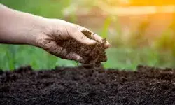 मिट्टी की सेहत सुधारने की जरूरत मिट्टी की सेहत सुधारने की जरूरत