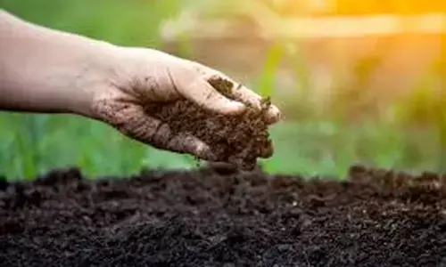 मिट्टी की सेहत सुधारने की जरूरत मिट्टी की सेहत सुधारने की जरूरत