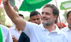 तमिलनाडुः विजय के शपथ ग्रहण समारोह में शामिल होंगे राहुल गांधी तमिलनाडुः विजय के शपथ ग्रहण समारोह में शामिल होंगे राहुल गांधी