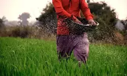 तेलंगाना ने खरीफ सीजन के लिए यूरिया मांगा