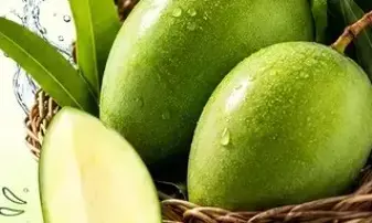 भीषण गर्मी में सेहत का साथी कच्चा आम, सेवन से कई फायदे भीषण गर्मी में सेहत का साथी कच्चा आम, सेवन से कई फायदे