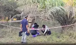 इश्क, तलाक और हत्या... गुजरात के वलसाड से सामने आई सनसनीखेज वारदात इश्क, तलाक और हत्या... गुजरात के वलसाड से सामने आई सनसनीखेज वारदात