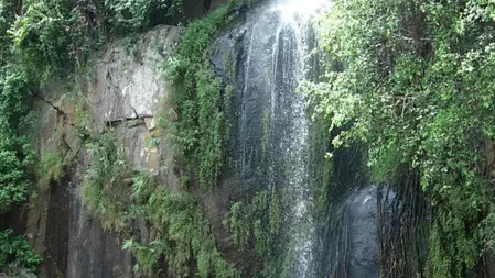 160 फीट की ऊंचाई से गिरता शीतल जलप्रपात, ठंडक-प्राकृतिक खूबसूरती का संगम, यहीं श्रीकृष्ण करते थे स्नान 160 फीट की ऊंचाई से गिरता शीतल जलप्रपात, ठंडक-प्राकृतिक खूबसूरती का संगम, यहीं श्रीकृष्ण करते थे स्नान