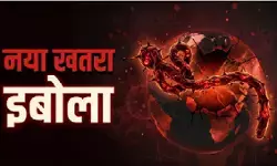 इबोला वायरस को लेकर भारत सरकार का अलर्ट, एडवाइजरी जारी; एयरपोर्ट्स पर स्क्रीनिंग तेज इबोला वायरस को लेकर भारत सरकार का अलर्ट, एडवाइजरी जारी; एयरपोर्ट्स पर स्क्रीनिंग तेज