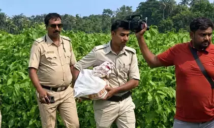 पश्चिम बंगाल : टीएमसी चेयरमैन के खेत से मिले 2.24 करोड़ रुपये, अब तक 3.04 करोड़ की नकदी बरामद