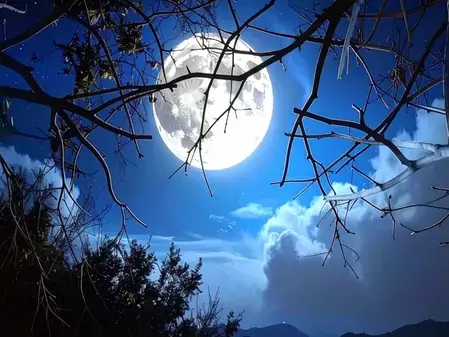 31 मई को फुल-मून : अपने मोबाइल से लीजिए चांद की बेहतरीन फोटो, नासा ने शेयर किए फोटोग्राफी टिप्स 31 मई को फुल-मून : अपने मोबाइल से लीजिए चांद की बेहतरीन फोटो, नासा ने शेयर किए फोटोग्राफी टिप्स